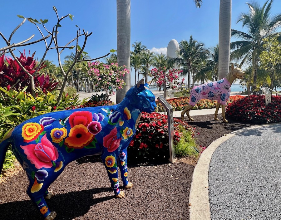 Hand painted colorful Cats & Dogs art installation in downtown Miami.